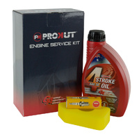 ENGINE SERVICE KIT B&S QUATTRO 3.5 TO 4.75HP Q45 & SPRINT