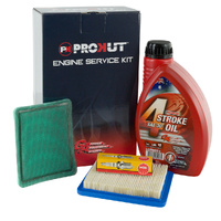 ENGINE SERVICE KIT B&S 625, 650/C, 675EX & 725EX QUANTUM