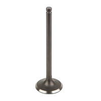 EXHAUST VALVE