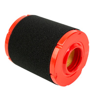 AIR FILTER & PRE-FILTER SUITS SSV550XP, XP550E, XP620E